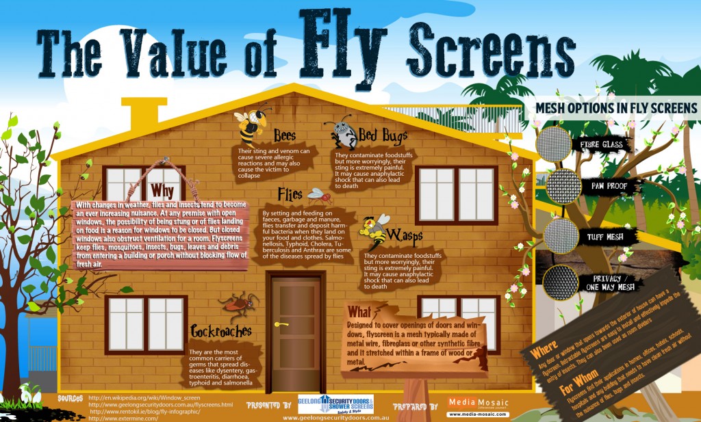 _Fly-Doors- Flyscreen-Doors- Flyscreens-Infographic